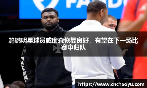纳米体育官网