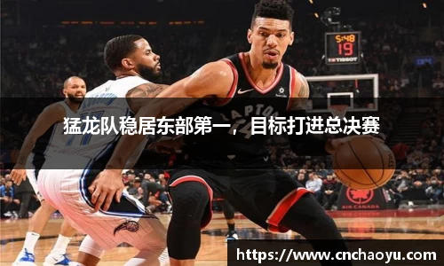 纳米体育网址