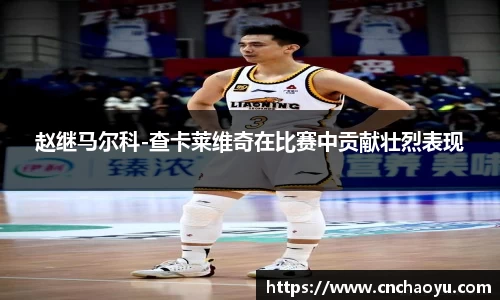 纳米体育官网