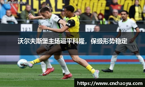纳米体育注册