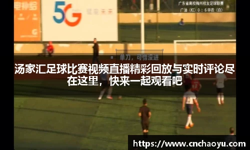 纳米体育官网
